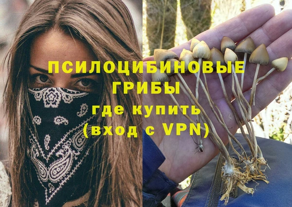 крисы Беломорск