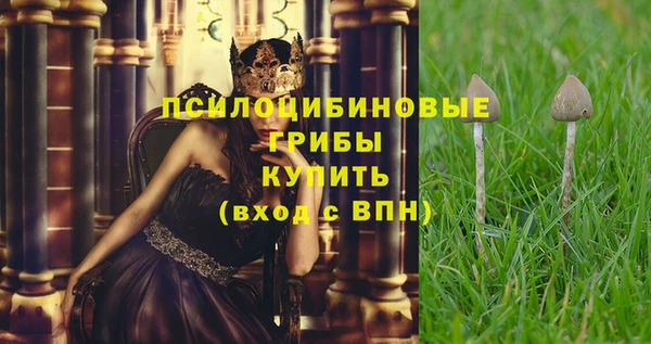 крисы Беломорск